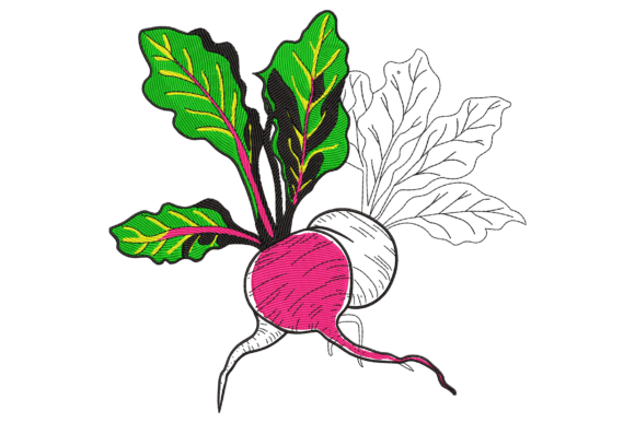 Bold Beets: A Designer’s Review for Small Business Merch
